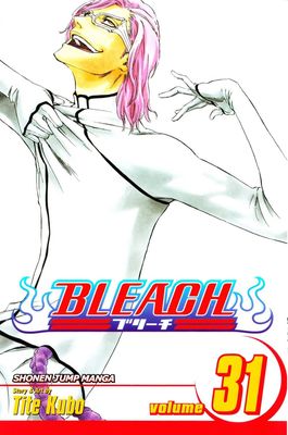 BLEACH GN VOL 31