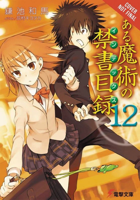 CERTAIN MAGICAL INDEX LIGHT NOVEL SC VOL 12