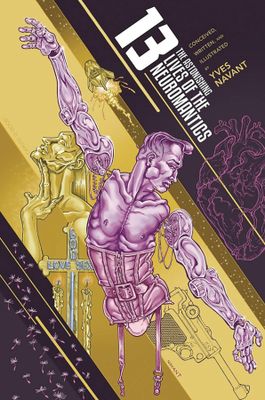 13 ASTONISHING LIVES OF THE NEUROMANTICS GN (MR)