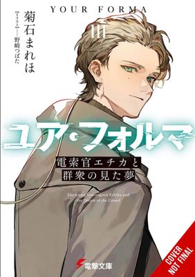 YOUR FORMA LIGHT NOVEL SC VOL 03