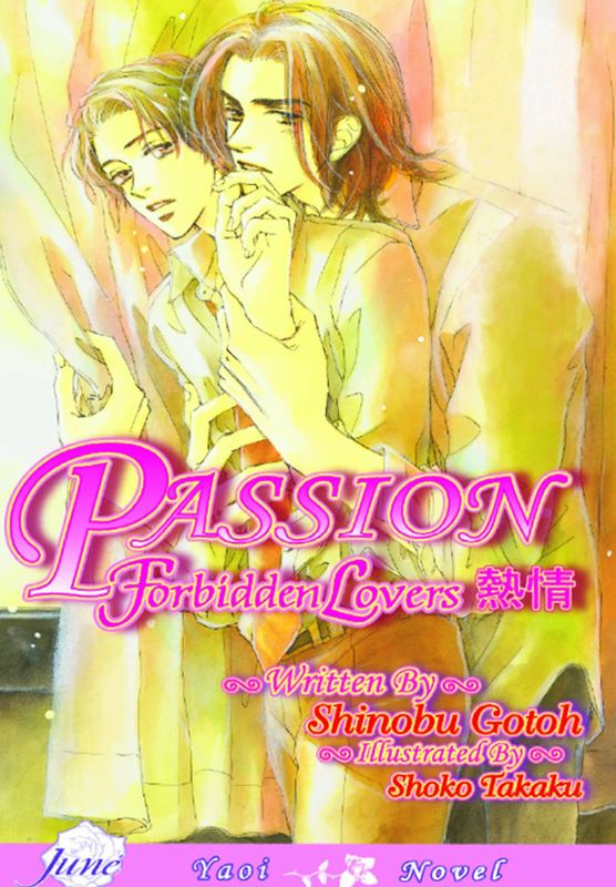 PASSION GN VOL 04