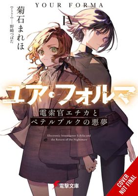 YOUR FORMA LIGHT NOVEL SC VOL 04