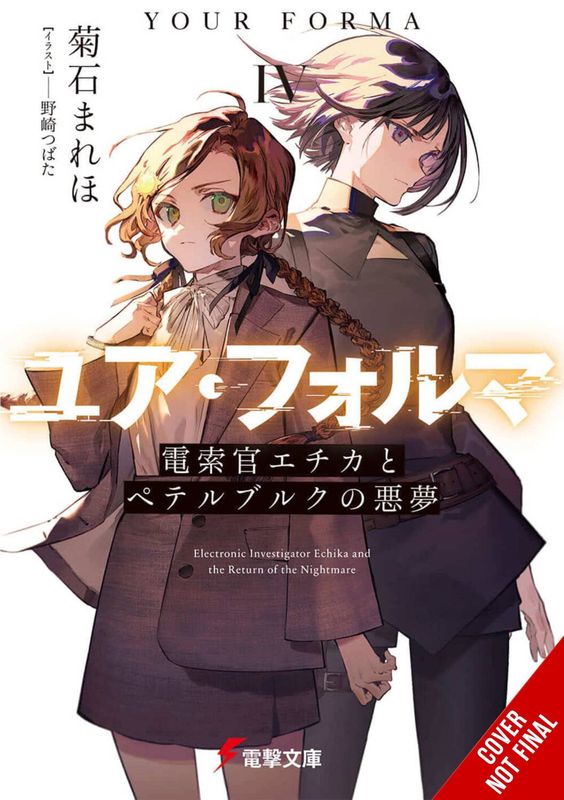 YOUR FORMA LIGHT NOVEL SC VOL 04