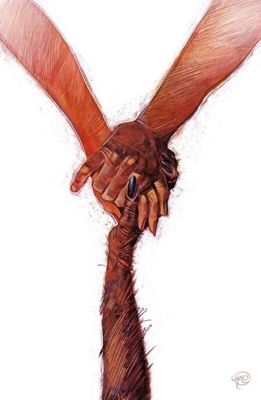 Y THE LAST MAN COMPENDIUM 2 TP