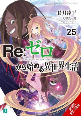 RE ZERO SLIAW LIGHT NOVEL SC VOL 25