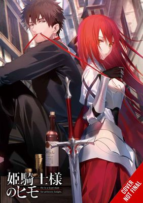 KEPT MAN OF PRINCESS KNIGHT LIGHT NOVEL SC VOL 01