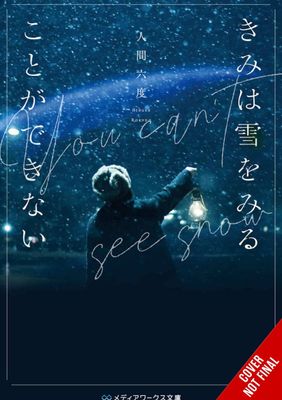 YOU CANT SEE SNOW HC