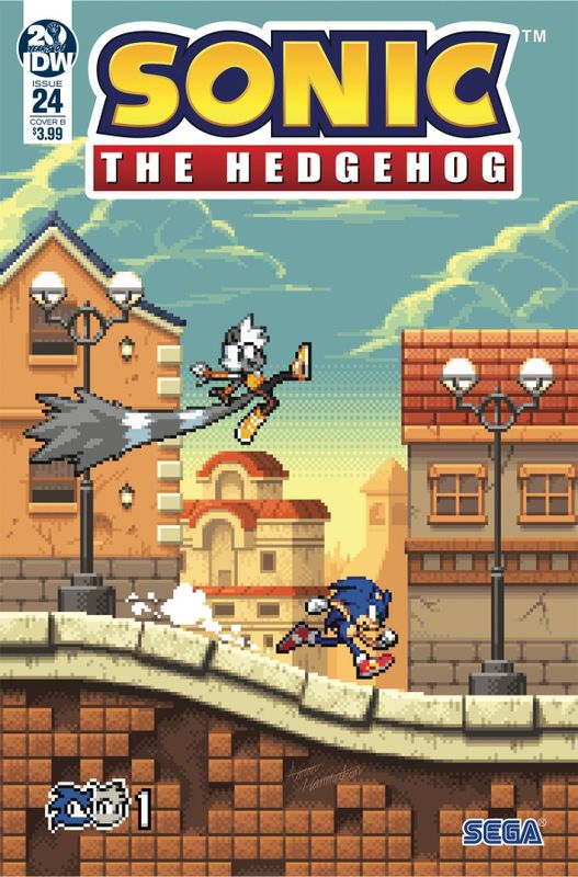 SONIC THE HEDGEHOG #24 CVR A GRAY & GRAHAM