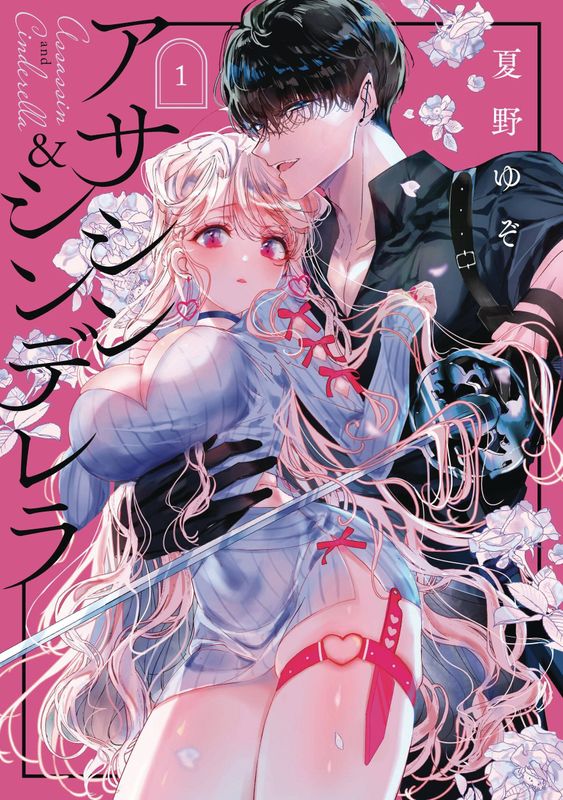 ASSASSIN & CINDERELLA GN VOL 01