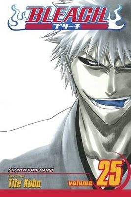 BLEACH GN VOL 25