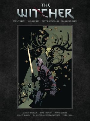 WITCHER LIBRARY EDITION HC VOL 01