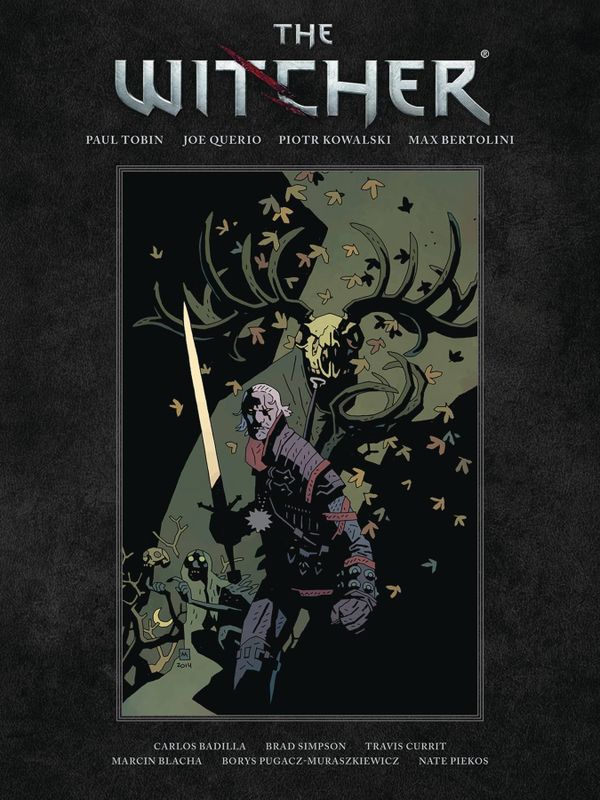 WITCHER LIBRARY EDITION HC VOL 01