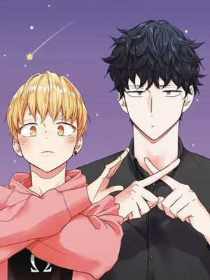 LOVE IS AN ILLUSION GN VOL 01