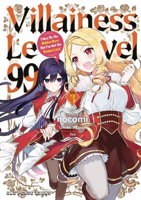 VILLAINESS LEVEL 99 GN VOL 03 I MAY BE HIDDEN BOSS NOT DEMON