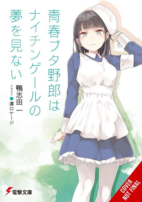 RASCAL DOES NOT DREAM LIGHT NOVEL SC VOL 11