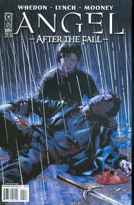 ANGEL AFTER THE FALL #13