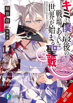 LAST CRUSADE RISE NEW WORLD LIGHT NOVEL SC VOL 11