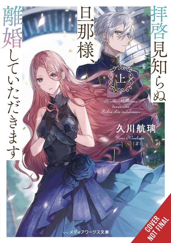 TO SIR WITHOUT LOVE IM DIVORCING YOU LIGHT NOVEL SC