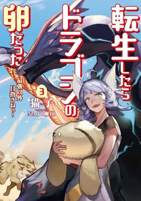 REINCARNATED AS A DRAGON HATCHLING LIGHT NOVEL SC VOL 03