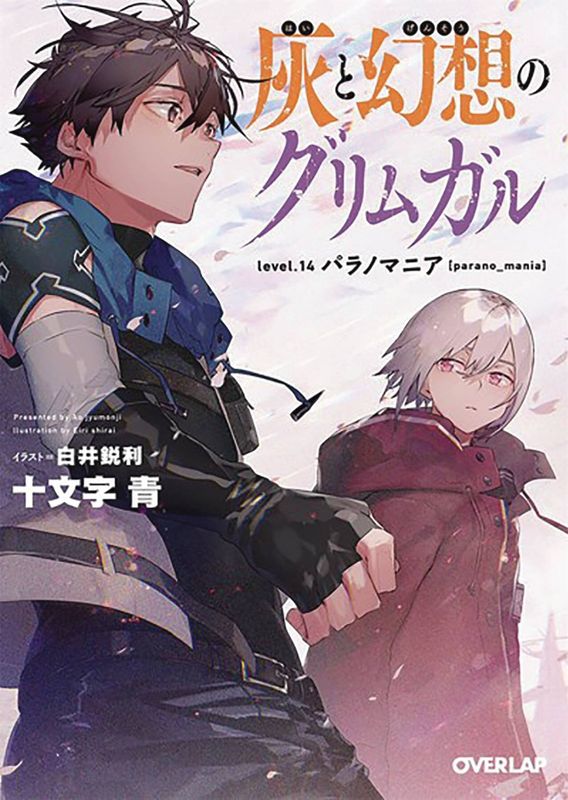 GRIMGAR OF FANTASY & ASH LIGHT NOVEL VOL 14