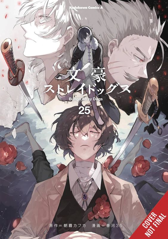 BUNGO STRAY DOGS GN VOL 25 