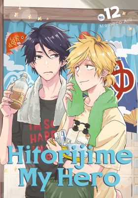 HITORIJIME MY HERO GN VOL 12