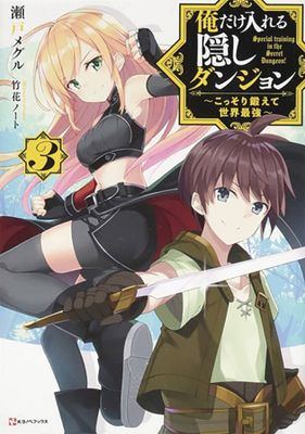 HIDDEN DUNGEON ONLY I CAN ENTER LIGHT NOVEL VOL 03