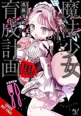 MAGICAL GIRL RAISING PROJECT LIGHT NOVEL SC VOL 13