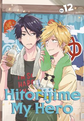 HITORIJIME MY HERO GN VOL 13