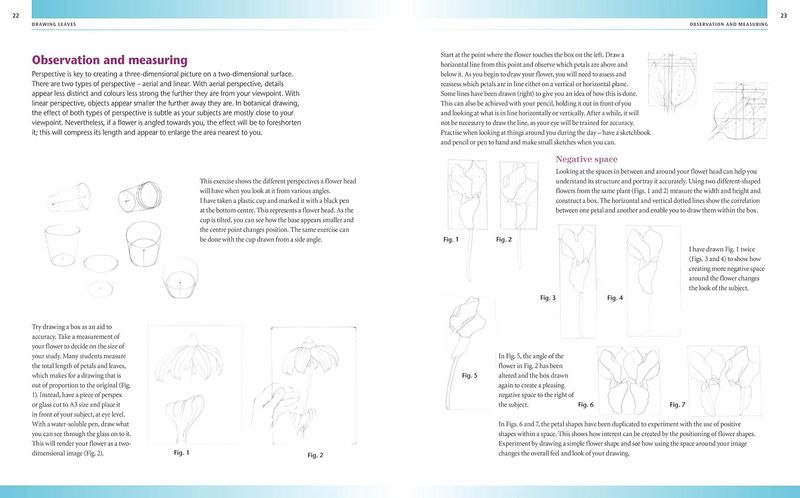Drawing & Painting Flowers- Målningsguide