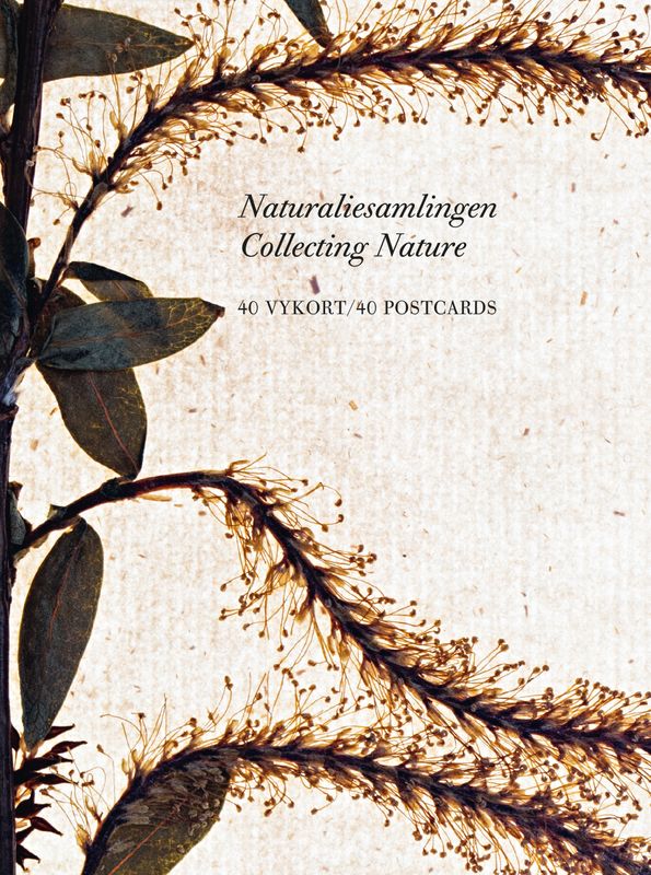 Naturaliesamlingen VYKORTSLÅDA 40 st