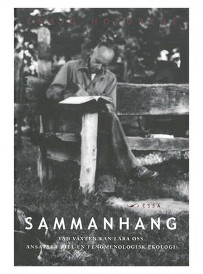 Sammanhang