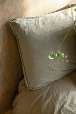 418207_crinkle_sage_paslakan2