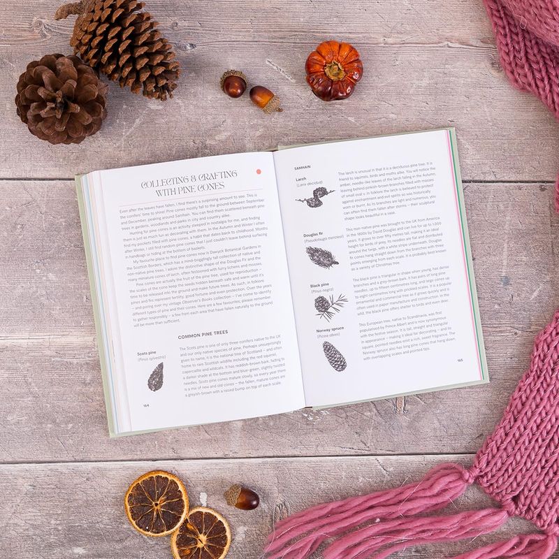 Slow Seasons : A Creative Guide to Reconnecting with Nature the Celtic Way - Rosie Steer