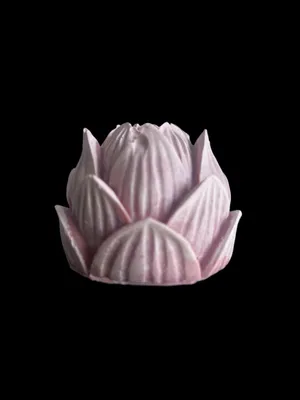 Disktvål ROSA LOTUS ylang