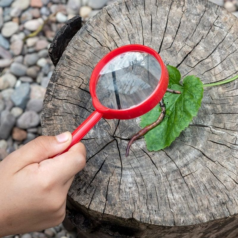 Förstoringsglas Wonders of nature
