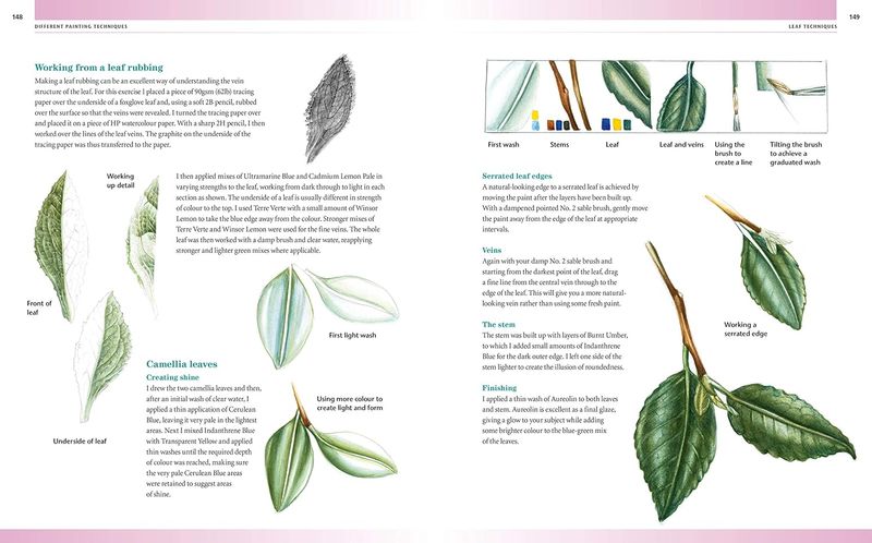 Drawing & Painting Flowers- Målningsguide