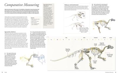Drawing the Natural World-Målningsguide