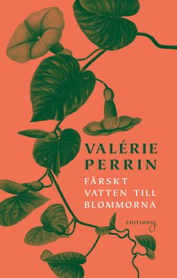 Färskt vatten till blommorna - Valérie Perrin
