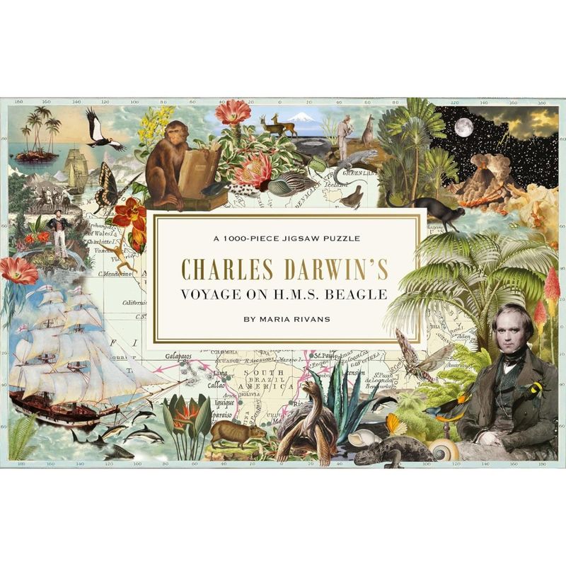 Pussel 1000 bitar Charles Darvin Voyage