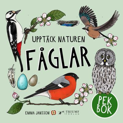 Upptäck Naturen Fåglar-Pekbok