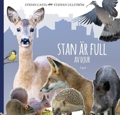 Stan är full av djur