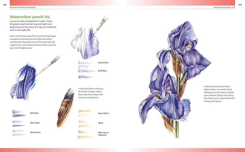 Drawing & Painting Flowers- Målningsguide