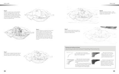 The Artist´s step-by-step guide to drawing, Coleman Vivienne