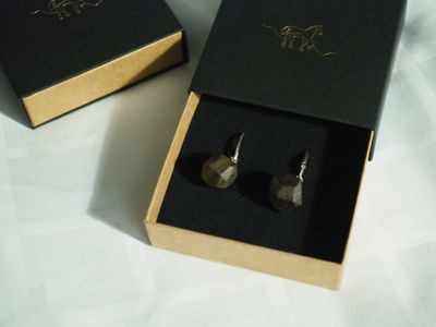 Örhängen Midnight - Silver & Svartek