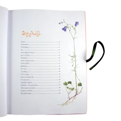 Det var en gång : Babybok om barnets första tid - Maj Fagerberg