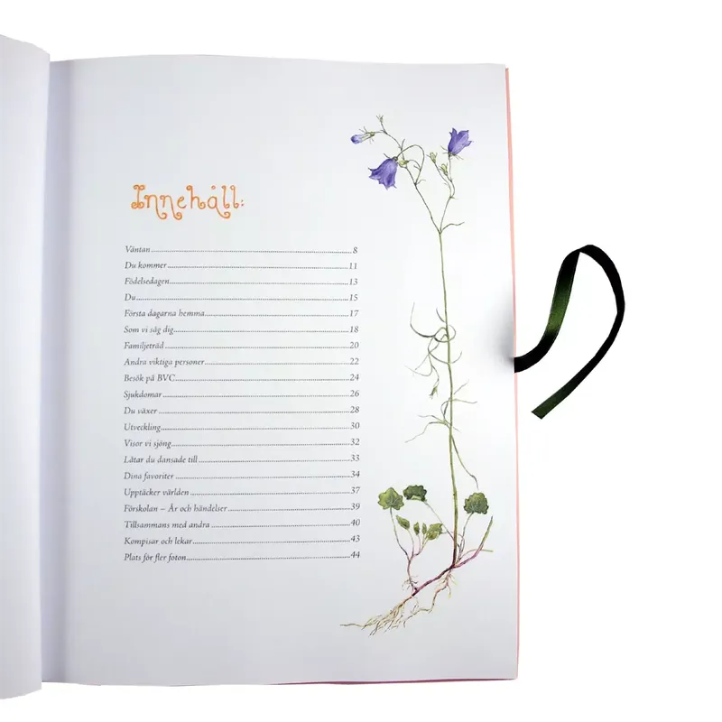 Det var en gång : Babybok om barnets första tid - Maj Fagerberg