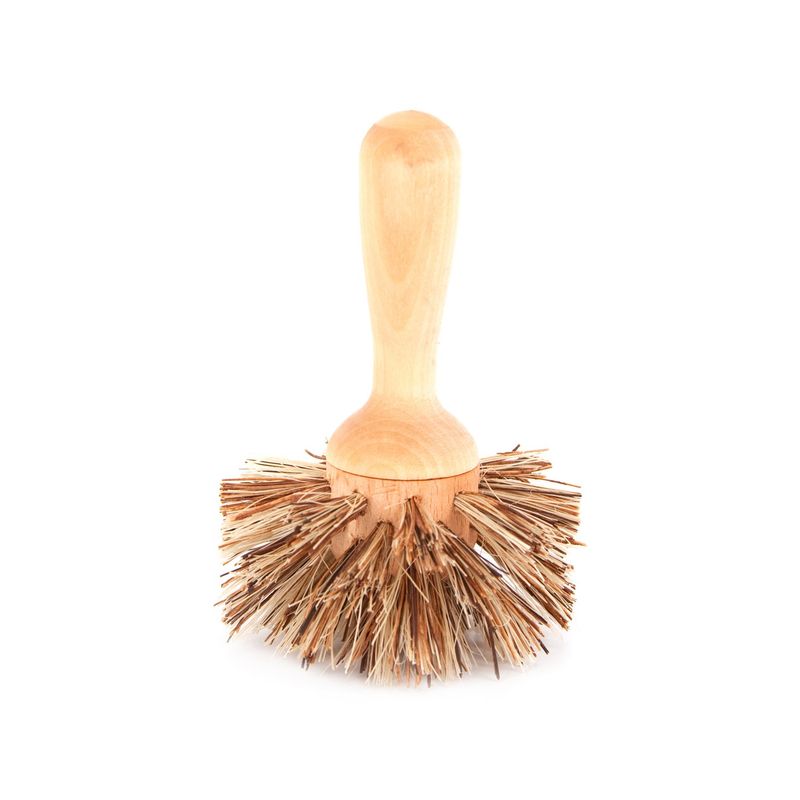 Grovdiskborste i björk