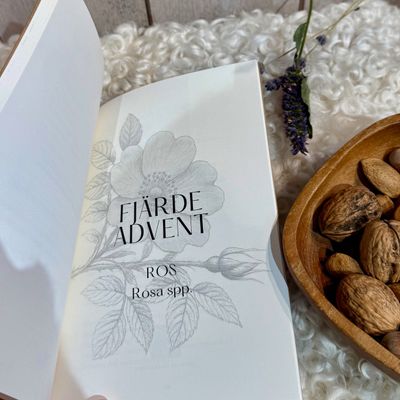 Adventskalender Örternas Advent - Hantverk