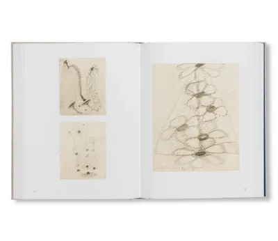 Hilma af Klint : Spiritualistic Drawings (1895-1910) - Kurt Almqvist & Daniel Birnbaum